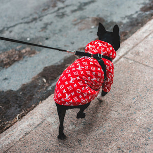 Pet Apparel - YOYOCO