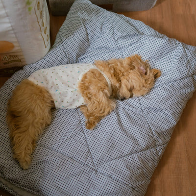 Pet Beds - YOYOCO