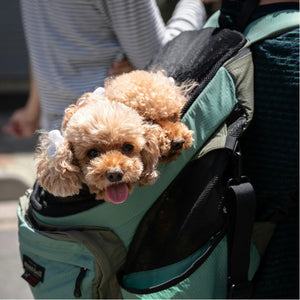Pet Carriers - YOYOCO
