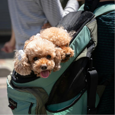 Pet Carriers - YOYOCO