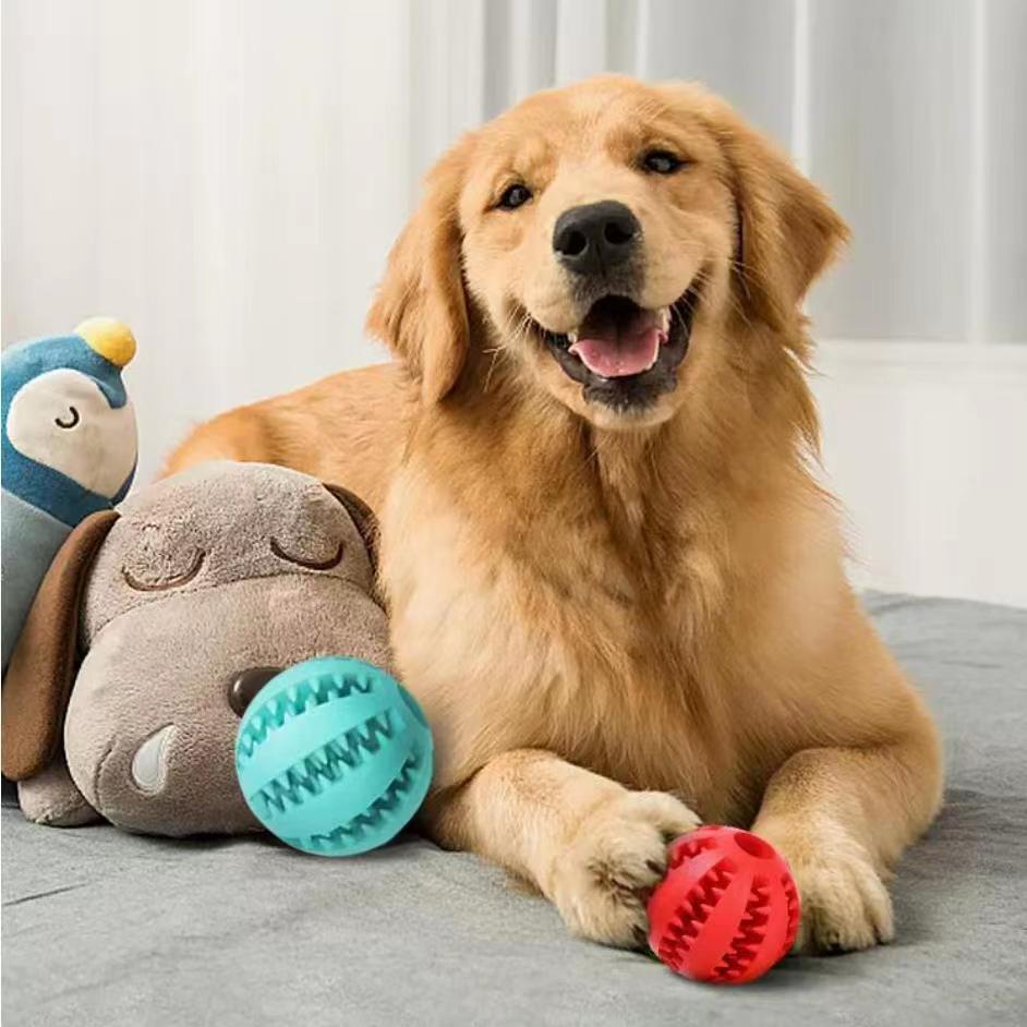 Interactive Rope Dog Toy with Treat Ball – Chew & Tug Toy for Small Dogs, Dental Cleaning & Training