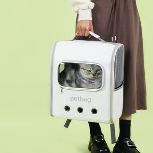 Person holding a white pet backpack with a cat inside on a light green background