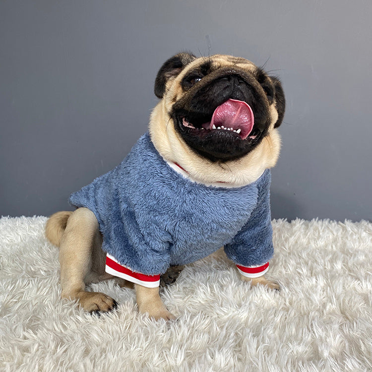 Blue Cotton Dog Sweater – Casual Soft Pullover for Small to Large Dogs (S-XXL)