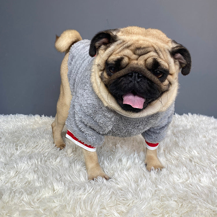 Blue Cotton Dog Sweater – Casual Soft Pullover for Small to Large Dogs (S-XXL)