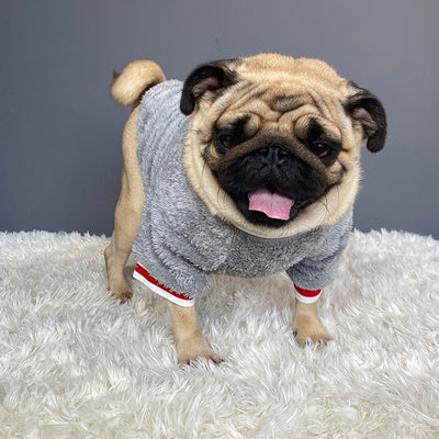 Blue Cotton Dog Sweater – Casual Soft Pullover for Small to Large Dogs (S-XXL)