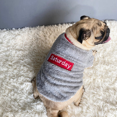 Blue Cotton Dog Sweater – Casual Soft Pullover for Small to Large Dogs (S-XXL)