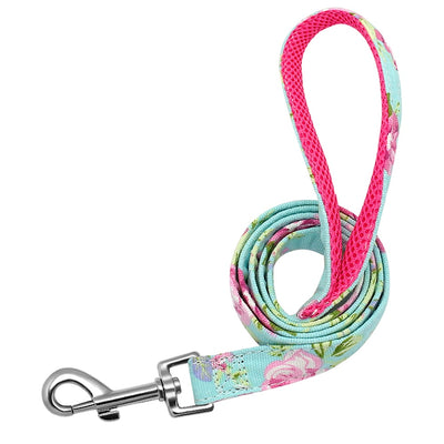 Custom Engraved Dog Collar with Bell – Adjustable Anti-Lost ID Tag Nylon Collar for Small to Large Dogs