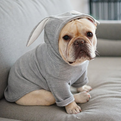 Lightweight Dog Sweater for Spring & Autumn – Soft Pet Pullover for Small to Large Dogs
