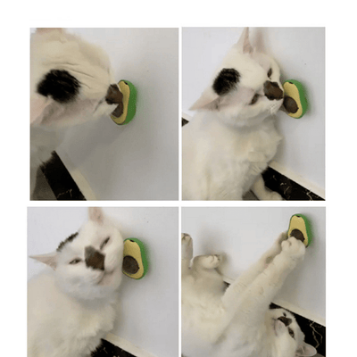 3 - in - 1 Cat Care Bundle – Groom, Play & Soothe Naturally - 0
