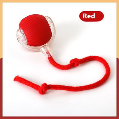 Interactive Rolling Cat Toy Ball – Smart Motion-Activated Toy with Chirping Sounds