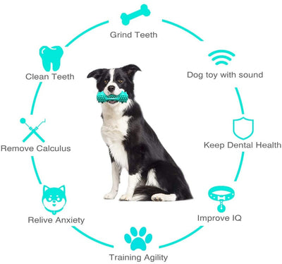 Durable Dog Chew Toy for Aggressive Chewers – Rubber Molar Toothbrush Stick with Squeaker for Small & Medium Dogs – Dental Cleaning Aid