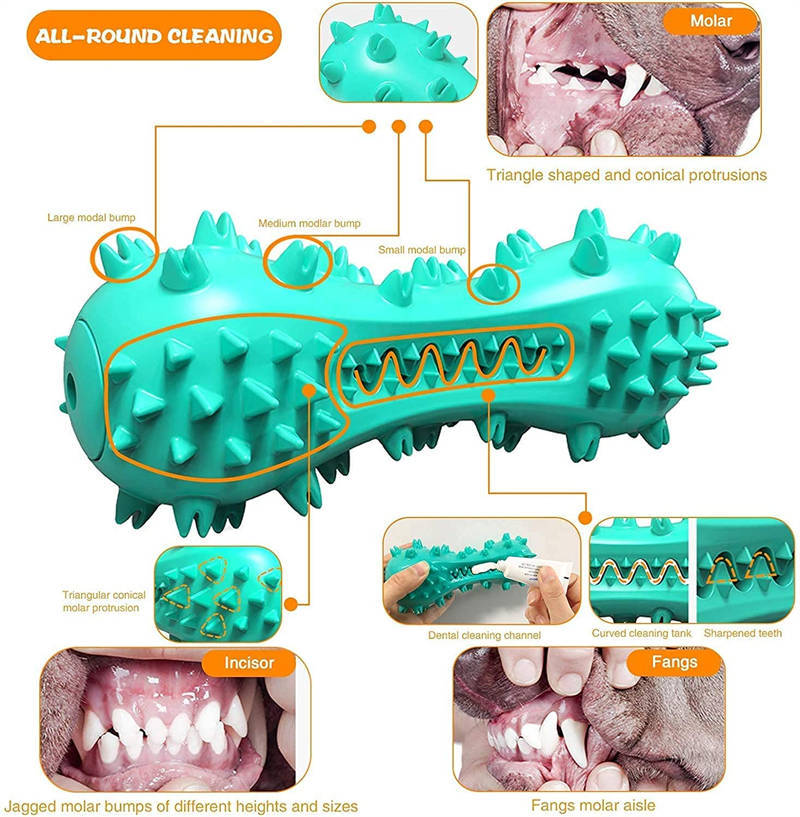 Durable Dog Chew Toy for Aggressive Chewers – Rubber Molar Toothbrush Stick with Squeaker for Small & Medium Dogs – Dental Cleaning Aid
