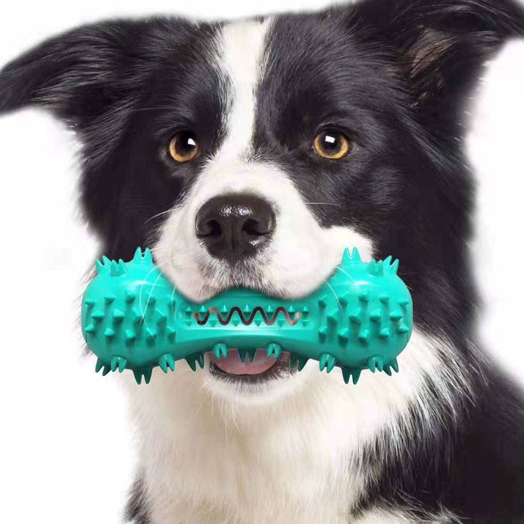 Durable Dog Chew Toy for Aggressive Chewers – Rubber Molar Toothbrush Stick with Squeaker for Small & Medium Dogs – Dental Cleaning Aid