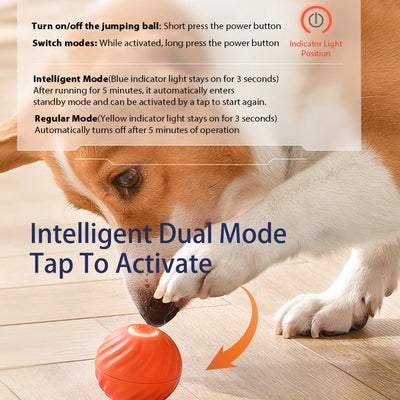 USB Rechargeable Smart Dog Toy – Interactive Bouncing Ball for Dogs with Noise-Reducing Cover