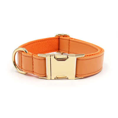 Color Block Leather Dog Collar – Soft Velvet Pet Collar in Multiple Stylish Colors