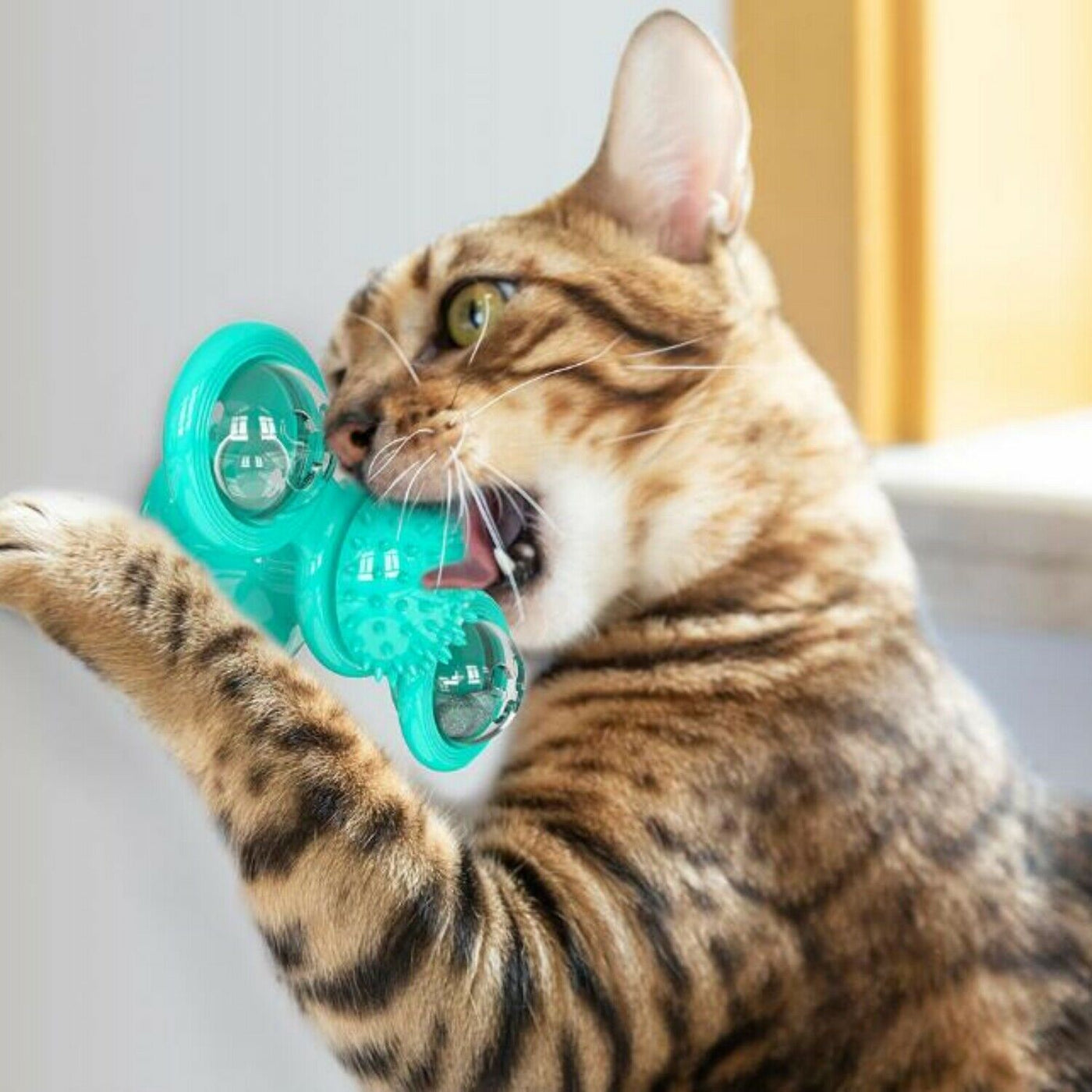 Interactive Windmill Cat Toy – Rotating Spinner with Suction Cup, Catnip & Teeth-Cleaning Ball