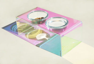 Acrylic Pet Bowl – Rainbow Dazzling Feeder for Cats & Small Dogs, Single or Double Bowl - 0