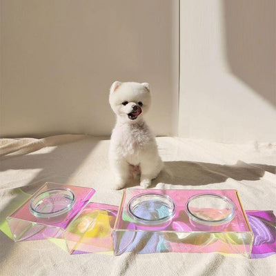 Acrylic Pet Bowl – Rainbow Dazzling Feeder for Cats & Small Dogs, Single or Double Bowl - 0
