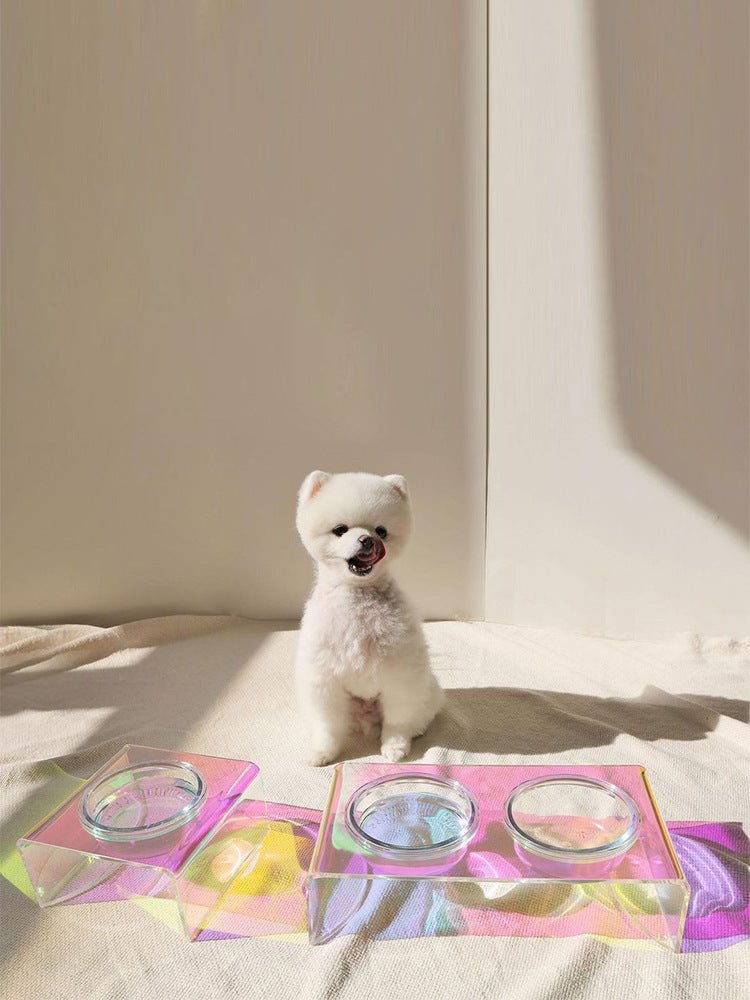 Acrylic Pet Bowl – Rainbow Dazzling Feeder for Cats & Small Dogs, Single or Double Bowl - 0