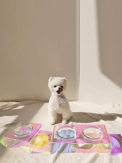 Acrylic Pet Bowl – Rainbow Dazzling Feeder for Cats & Small Dogs, Single or Double Bowl - 0