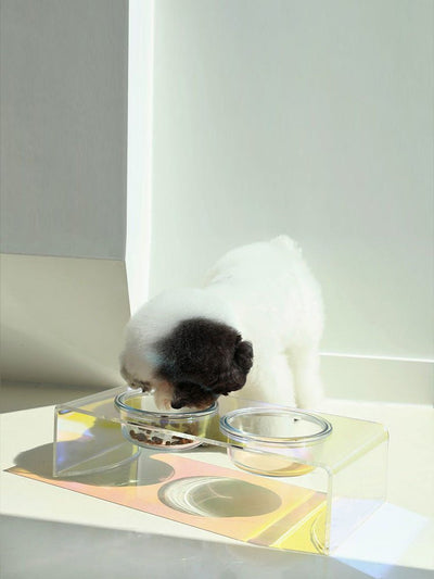 Acrylic Pet Bowl – Rainbow Dazzling Feeder for Cats & Small Dogs, Single or Double Bowl - 0
