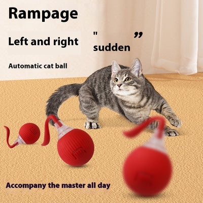 Interactive Rolling Cat Toy Ball – Smart Motion-Activated Toy with Chirping Sounds