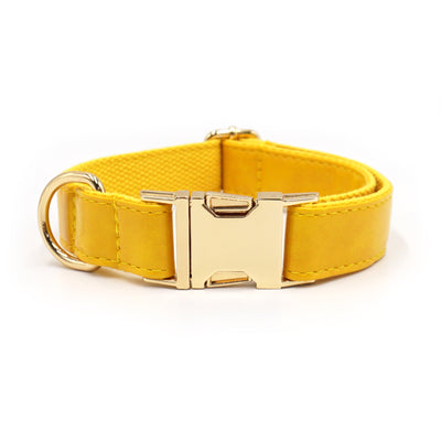 Color Block Leather Dog Collar – Soft Velvet Pet Collar in Multiple Stylish Colors