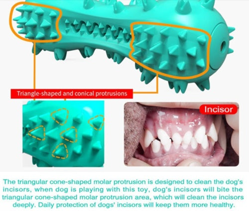 Durable Dog Chew Toy for Aggressive Chewers – Rubber Molar Toothbrush Stick with Squeaker for Small & Medium Dogs – Dental Cleaning Aid