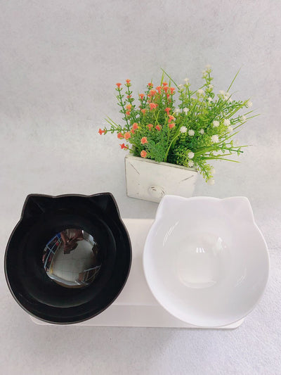 Cat Double Bowl – Elevated Cat Food & Water Bowl, Cervical Spine Protection, Anti - Skid, Transparent Cat Face Design - 0
