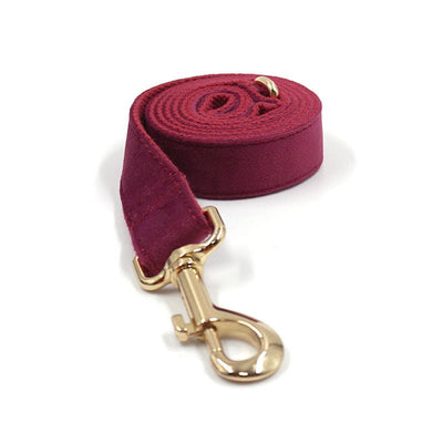 Custom Velvet Dog Collar with Engraved Gold Clasp – Soft Adjustable Collar with Matching Leash - 7