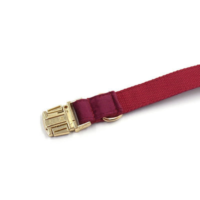 Custom Velvet Dog Collar with Engraved Gold Clasp – Soft Adjustable Collar with Matching Leash - 7