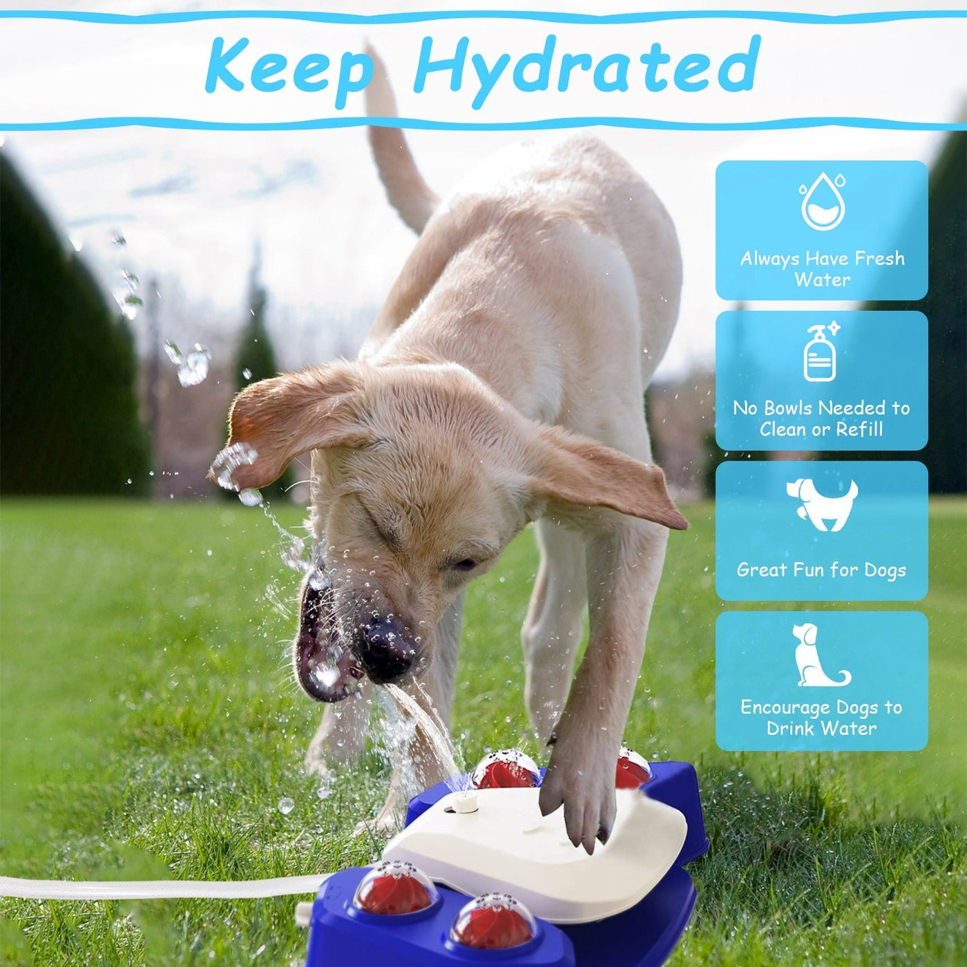 Dog Water Fountain – Step - On Automatic Pet Water Dispenser with Sprinkler, Drinking & Play Function, Blue & Yellow Options - 0