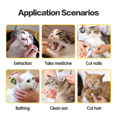 Durable Cat Travel Bag – Double - Lined, Anti - Scratch & Bite - Resistant Pet Carrier (Polyester, S & L Sizes) - 0