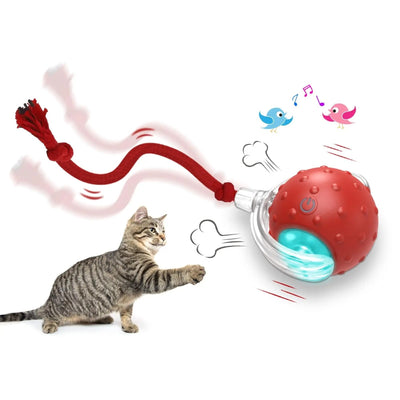 Interactive Rolling Cat Toy Ball – Smart Motion-Activated Toy with Chirping Sounds