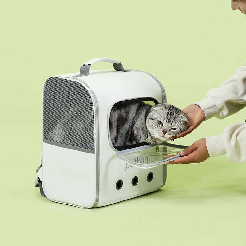Cat in a pet carrier with a person opening the door on a light green background