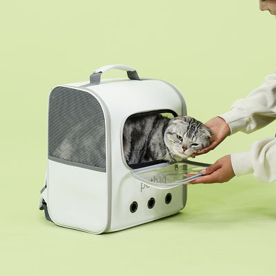 Cat in a pet carrier with a person opening the door on a light green background
