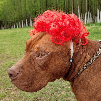 Funny Pet Wig for Dogs & Cats – Afro, Pigtail & Clown Style Costume Wig | Halloween & Party Pet Accessories - 0
