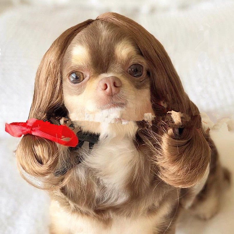 Funny Pet Wig for Dogs & Cats – Afro, Pigtail & Clown Style Costume Wig | Halloween & Party Pet Accessories - 0