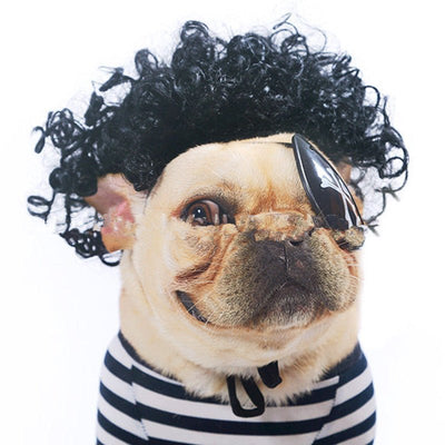 Funny Pet Wig for Dogs & Cats – Afro, Pigtail & Clown Style Costume Wig | Halloween & Party Pet Accessories - 0