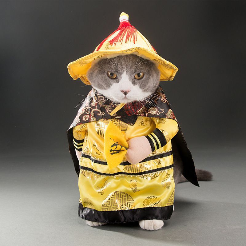 Halloween Cat Costume – Polyester Pet Outfit in Multiple Styles (S - XL) for Cats - 0