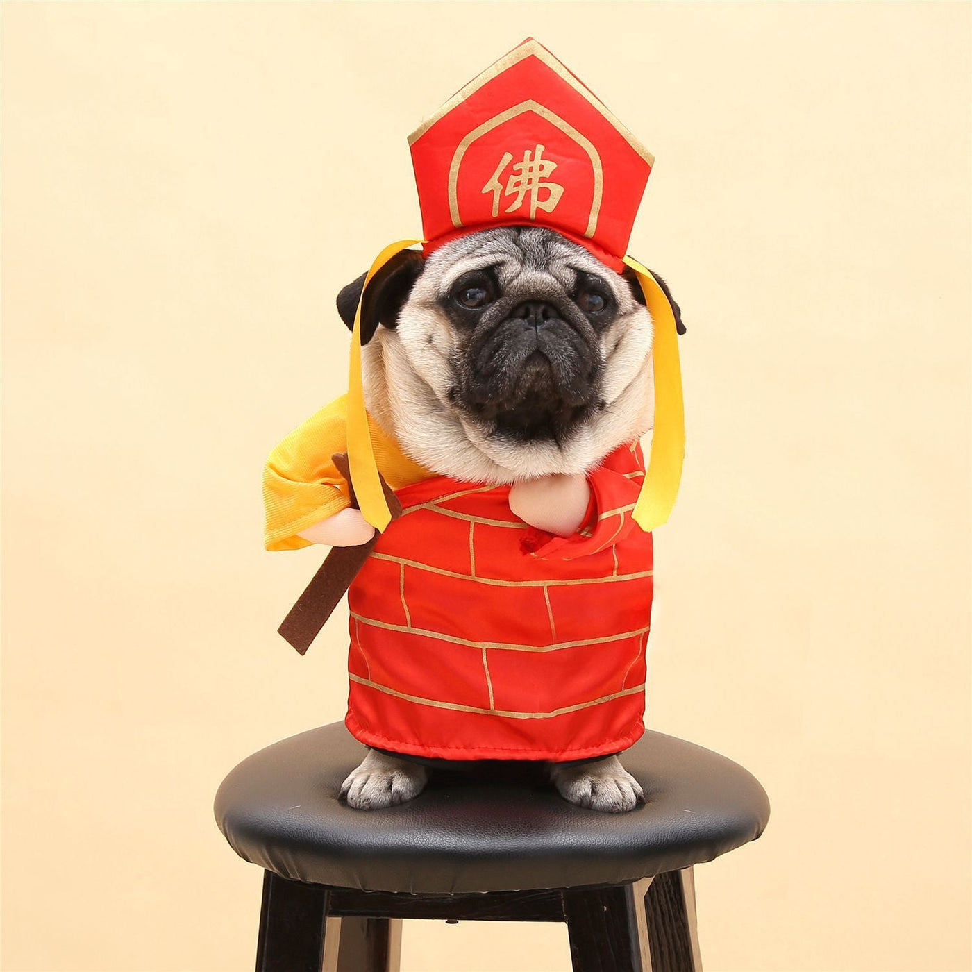 Halloween Cat Costume – Polyester Pet Outfit in Multiple Styles (S - XL) for Cats - 0