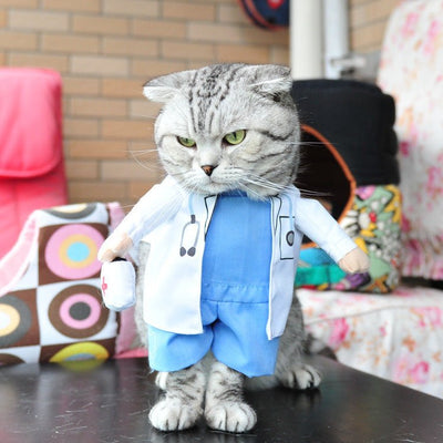 Halloween Cat Costume – Polyester Pet Outfit in Multiple Styles (S - XL) for Cats - 0