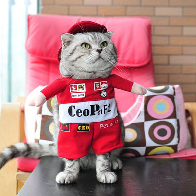 Halloween Cat Costume – Polyester Pet Outfit in Multiple Styles (S - XL) for Cats - 0