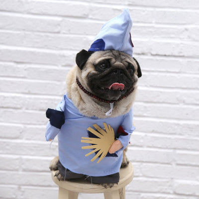 Halloween Cat Costume – Polyester Pet Outfit in Multiple Styles (S - XL) for Cats - 0