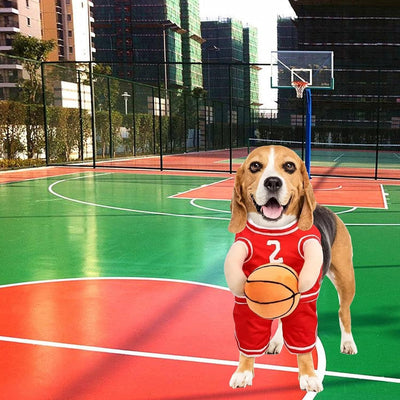 Halloween Dog Costume – Basketball Player Outfit for Small Dogs - 0