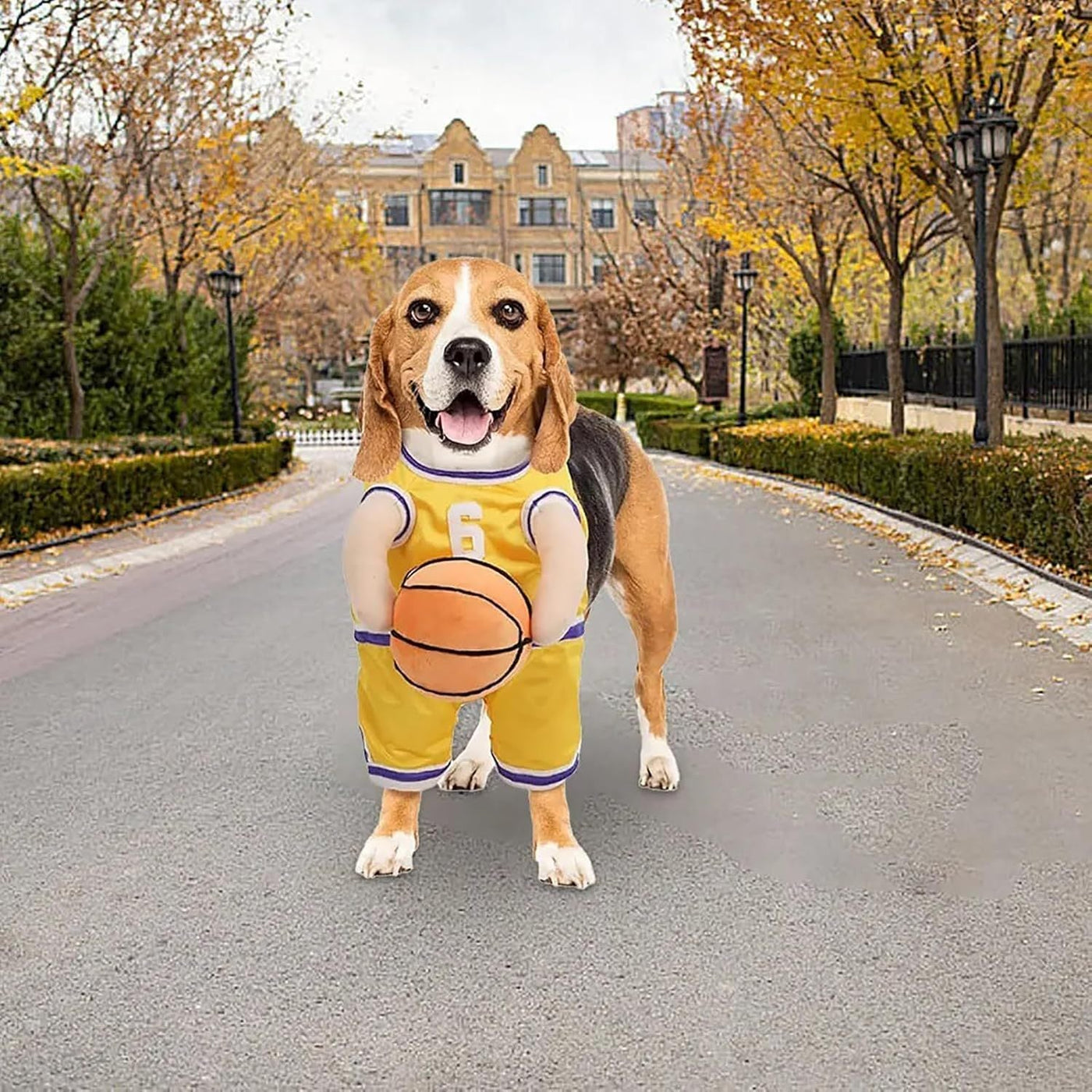 Halloween Dog Costume – Basketball Player Outfit for Small Dogs - 0