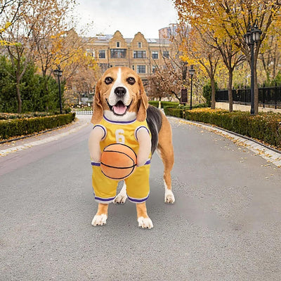 Halloween Dog Costume – Basketball Player Outfit for Small Dogs - 0