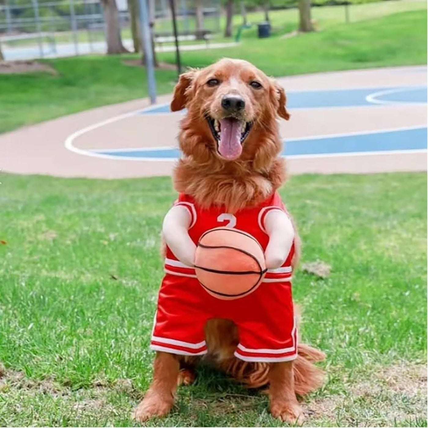 Halloween Dog Costume – Basketball Player Outfit for Small Dogs - 0