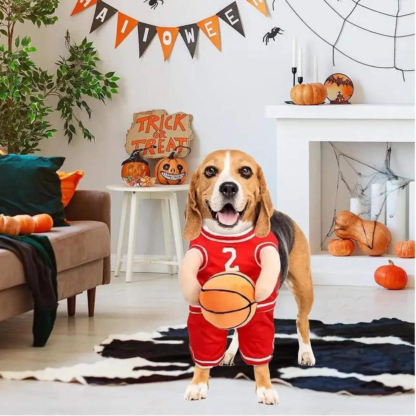 Halloween Dog Costume – Basketball Player Outfit for Small Dogs - 0