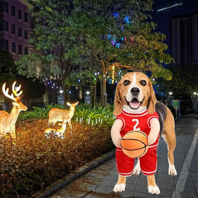 Halloween Dog Costume – Basketball Player Outfit for Small Dogs - 0